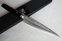 Load image into Gallery viewer, CS103 Japanese Slicer Pro-J Saiun - VG10 steel 210mm