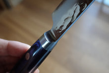 Load image into Gallery viewer, CY216 Japanese Kiritsike Petty knife Zenpou - AUS10 steel 140mm